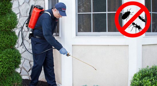 Karaçoban Kene İlaçlama böcek ilaçlama ve haşere kontrolü — ilaclama-tr.com